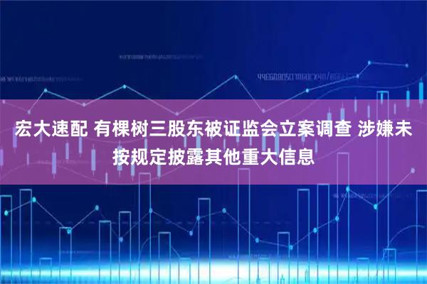 宏大速配 有棵树三股东被证监会立案调查 涉嫌未按规定披露其他重大信息