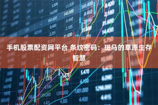 手机股票配资网平台 条纹密码：斑马的草原生存智慧