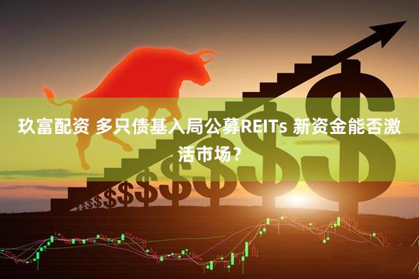 玖富配资 多只债基入局公募REITs 新资金能否激活市场？