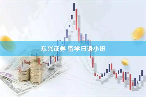 东兴证券 留学日语小班
